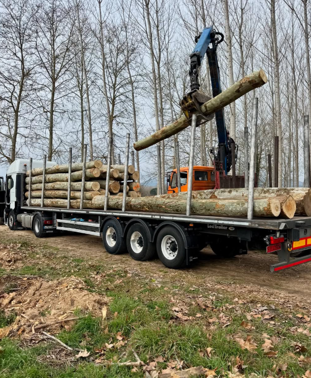 Forestal soliva